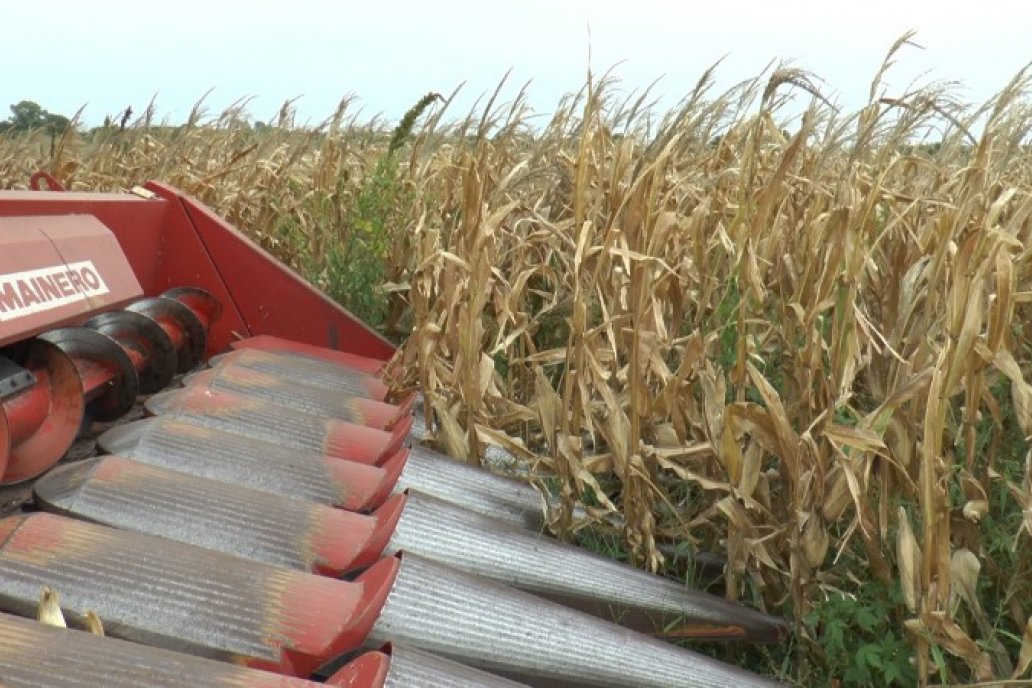 En el país, contratistas recolectan el 60% de la producción agrícola.