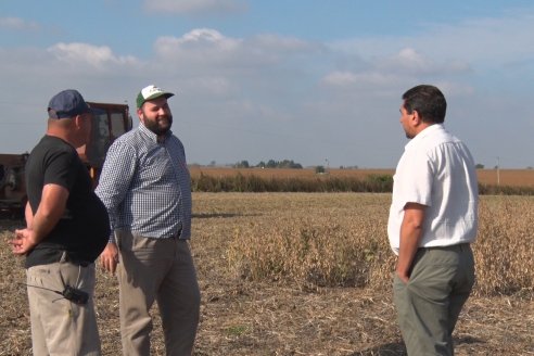 En campos de Costa Grande trillan 31 quintales de soja por hectárea - CRILUAN SRL y AGROFE CAMPO