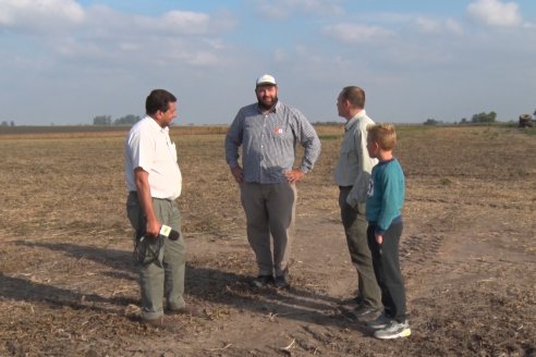 En campos de Costa Grande trillan 31 quintales de soja por hectárea - CRILUAN SRL y AGROFE CAMPO