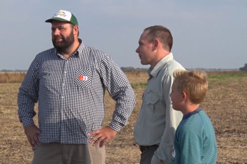 En campos de Costa Grande trillan 31 quintales de soja por hectárea - CRILUAN SRL y AGROFE CAMPO