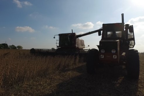 En campos de Costa Grande trillan 31 quintales de soja por hectárea - CRILUAN SRL y AGROFE CAMPO