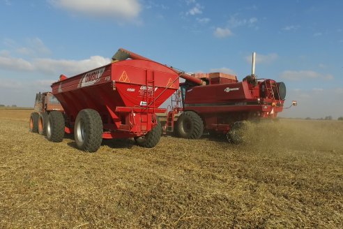 En campos de Costa Grande trillan 31 quintales de soja por hectárea - CRILUAN SRL y AGROFE CAMPO