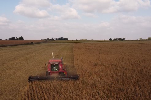 En campos de Costa Grande trillan 31 quintales de soja por hectárea - CRILUAN SRL y AGROFE CAMPO