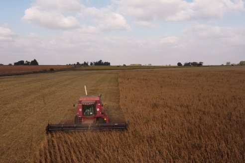 En campos de Costa Grande trillan 31 quintales de soja por hectárea - CRILUAN SRL y AGROFE CAMPO