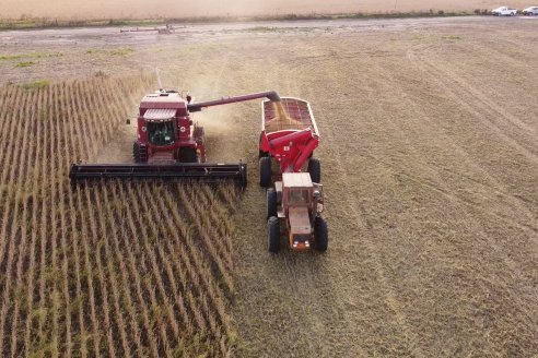 En campos de Costa Grande trillan 31 quintales de soja por hectárea - CRILUAN SRL y AGROFE CAMPO