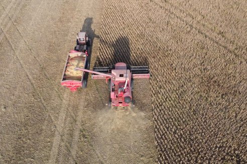 En campos de Costa Grande trillan 31 quintales de soja por hectárea - CRILUAN SRL y AGROFE CAMPO