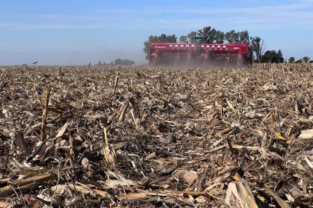 Eliminar plantas guachas y esperar que el frío liquide lo residual es buen plan.