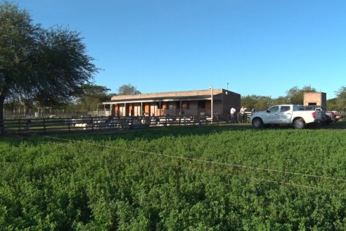 Visita a una Cabaña Caprina  Fortincito & el timbó - Feliciano - Entre Rios