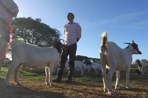 Visita a una Cabaña Caprina  Fortincito & el timbó - Feliciano - Entre Rios