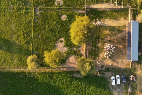 Visita a una Cabaña Caprina  Fortincito & el timbó - Feliciano - Entre Rios