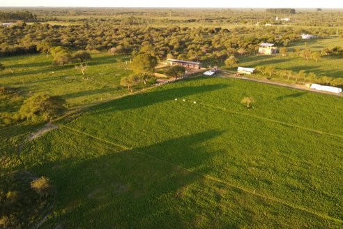 Visita a una Cabaña Caprina  Fortincito & el timbó - Feliciano - Entre Rios