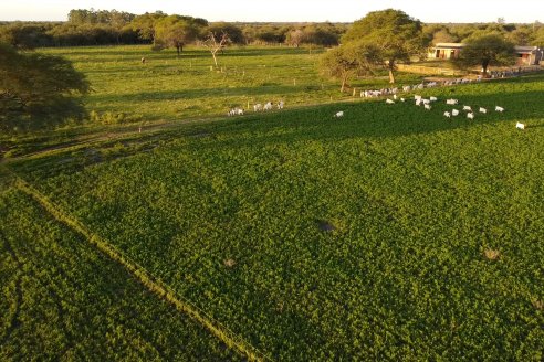 Visita a una Cabaña Caprina  Fortincito & el timbó - Feliciano - Entre Rios