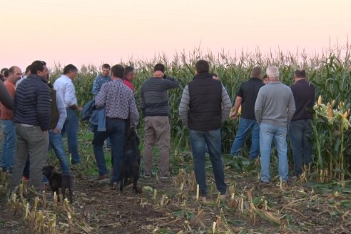 Jornada Técnica Comercial en Colonia Refino - LYDER Agro y AGSeed - Fertilización en el cultivo de maíz