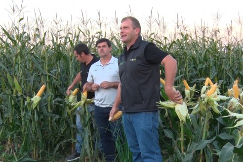 Jornada Técnica Comercial en Colonia Refino - LYDER Agro y AGSeed - Fertilización en el cultivo de maíz