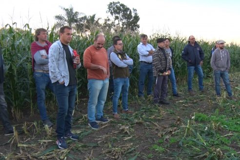 Jornada Técnica Comercial en Colonia Refino - LYDER Agro y AGSeed - Fertilización en el cultivo de maíz