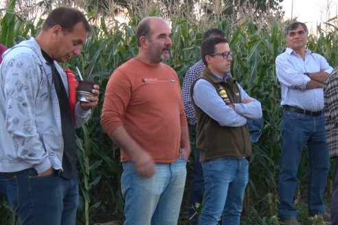 Jornada Técnica Comercial en Colonia Refino - LYDER Agro y AGSeed - Fertilización en el cultivo de maíz