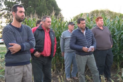 Jornada Técnica Comercial en Colonia Refino - LYDER Agro y AGSeed - Fertilización en el cultivo de maíz