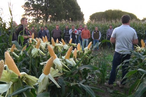 Jornada Técnica Comercial en Colonia Refino - LYDER Agro y AGSeed - Fertilización en el cultivo de maíz