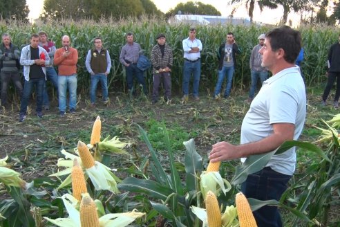 Jornada Técnica Comercial en Colonia Refino - LYDER Agro y AGSeed - Fertilización en el cultivo de maíz