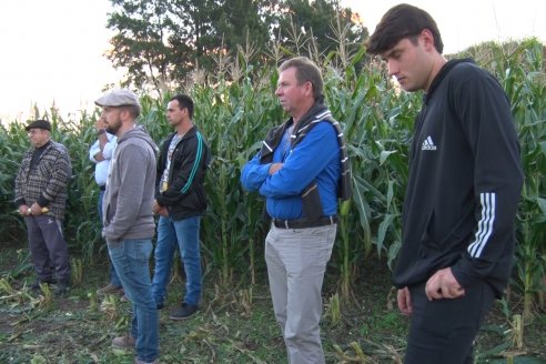 Jornada Técnica Comercial en Colonia Refino - LYDER Agro y AGSeed - Fertilización en el cultivo de maíz