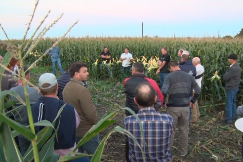 Jornada Técnica Comercial en Colonia Refino - LYDER Agro y AGSeed - Fertilización en el cultivo de maíz