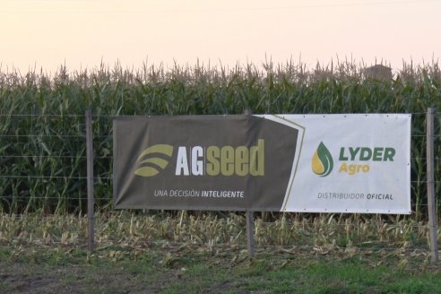 Jornada Técnica Comercial en Colonia Refino - LYDER Agro y AGSeed - Fertilización en el cultivo de maíz