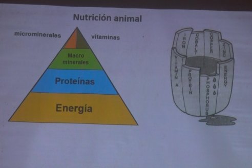 Jornada Técnica de Don Carlos Servicios Agropecuarias - S.R.de Feliciano - Eficiencia Alimenticia en Recria