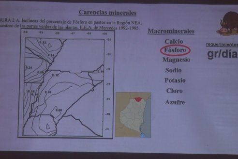 Jornada Técnica de Don Carlos Servicios Agropecuarias - S.R.de Feliciano - Eficiencia Alimenticia en Recria