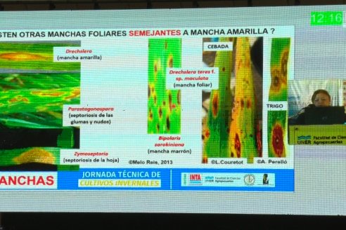 Jornada Técnica de Cultivos Invernales de la FCA UNER e INTA Paraná