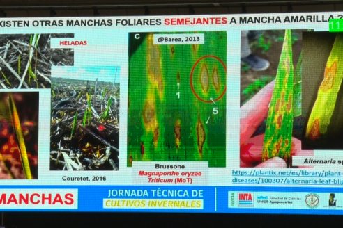 Jornada Técnica de Cultivos Invernales de la FCA UNER e INTA Paraná