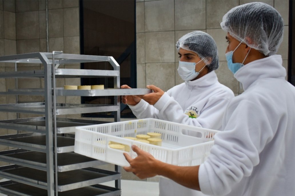 El plan es producir 40.000 quesos mensuales. Son sin lactosa. El plan es producir 40.000 quesos mensuales. Son sin lactosa.
