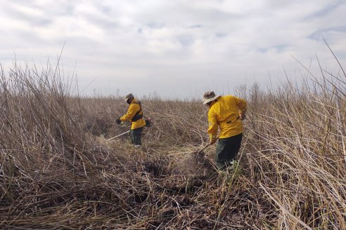 Se renovó la emergencia ambiental en la provincia