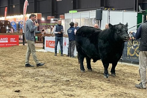 Expo Angus arrancó con la admisión y charlas variadas sobre fertilidad