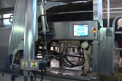 Los robots no son para dar más leche, llegaron para mejorar la vida de las vacas y los tamberos