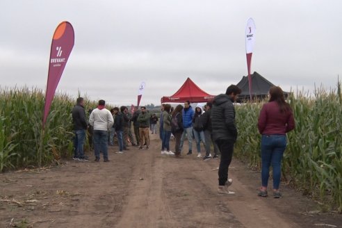 Intercambio Técnico sobre Maíz Tardio en Entre Ríos - MIB Brevant - Aldea San Antonio