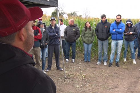 Intercambio Técnico sobre Maíz Tardio en Entre Ríos - MIB Brevant - Aldea San Antonio