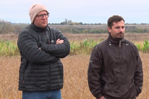Intercambio Técnico sobre Maíz Tardio en Entre Ríos - MIB Brevant - Aldea San Antonio