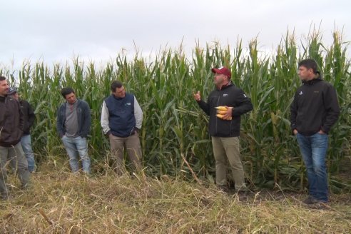 Intercambio Técnico sobre Maíz Tardio en Entre Ríos - MIB Brevant - Aldea San Antonio