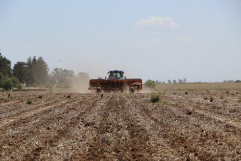 La falta de agua retrasa la siembra de la soja modelo 2023