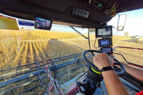 La Bolsa confirma que el Gobierno Nacional no ayuda a los productores