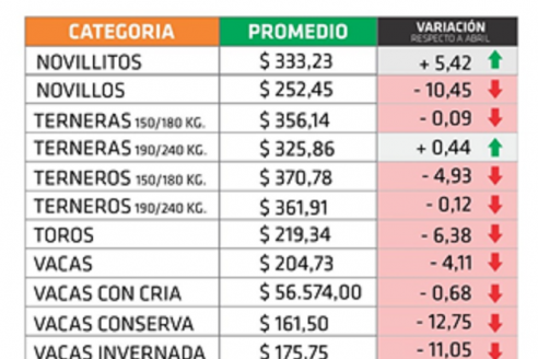 Durante mayo, sólo aumentaron novillitos, terneras y vaquillonas