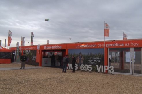 En KWS definen que la evolución genética es hoy