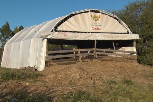 Visita al Modulo Porcino de la Facultad de Ciencias Agropecuarias de la UNER - Oro Verde