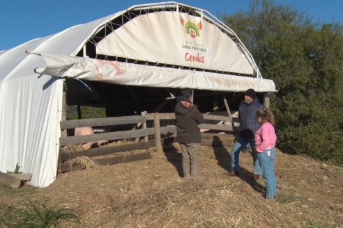 Visita al Modulo Porcino de la Facultad de Ciencias Agropecuarias de la UNER - Oro Verde