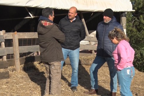 Visita al Modulo Porcino de la Facultad de Ciencias Agropecuarias de la UNER - Oro Verde