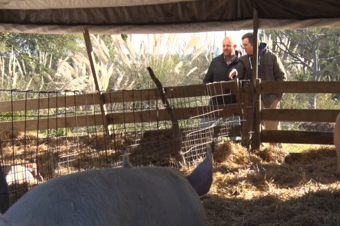 Visita al Modulo Porcino de la Facultad de Ciencias Agropecuarias de la UNER - Oro Verde