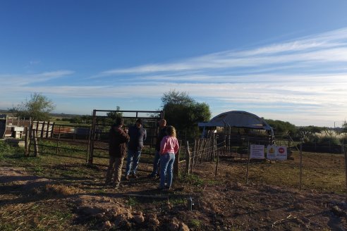 Visita al Modulo Porcino de la Facultad de Ciencias Agropecuarias de la UNER - Oro Verde