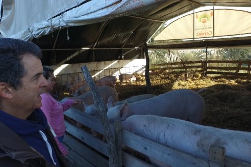 Visita al Modulo Porcino de la Facultad de Ciencias Agropecuarias de la UNER - Oro Verde