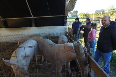 Visita al Modulo Porcino de la Facultad de Ciencias Agropecuarias de la UNER - Oro Verde