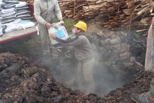 Senasa evitó la venta de alimentos para animales truchos